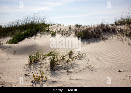 Una bellissima spiaggia di sabbia sul Seabrook Island, vicino a Charleston, Carolina del Sud, STATI UNITI D'AMERICA Foto Stock