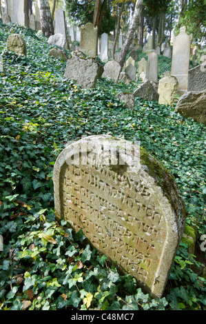 Cimitero ebraico a Trebic, Patrimonio culturale e naturale mondiale dell'UNESCO, Moravia Repubblica Ceca Foto Stock