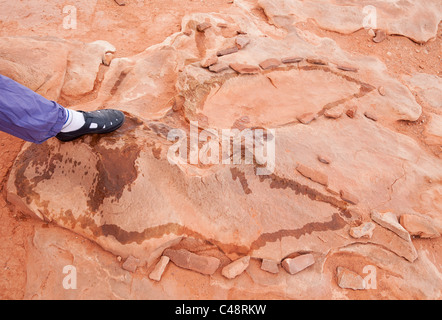 Piede di dinosauri stampe vicino a Tuba City. Sulla terra navajo. In aria aperta e molto accessibile. Piede umano che mostra a dare dimensioni Foto Stock