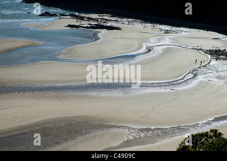 Wainui Bay durante la bassa marea, Abel Tasman Nat. Parco, Nuova Zelanda Foto Stock