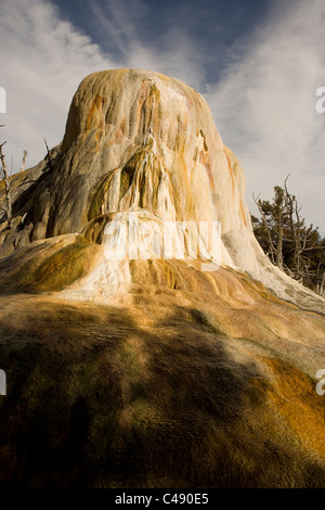 Arancione tumulo di Primavera nel Parco Nazionale di Yellowstone. Foto Stock