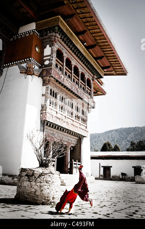 Un giovane monaco bhutanesi cartwheels davanti al restaurato Monastero Gangteng, vicino Phobjika valle centrale, Bhutan Foto Stock