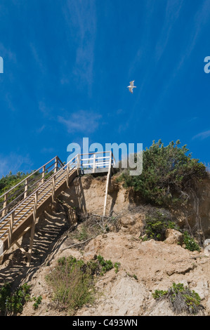 Spiaggia di scale di accesso sul versante di una montagna, Montauk, Long Island, Stati Uniti d'America. Foto Stock