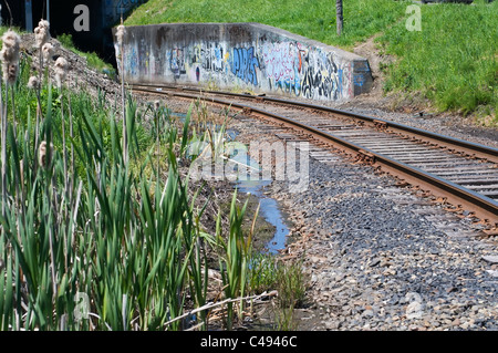 Una sezione curva dei binari del treno corre lungo una parete dipinta con graffiti e si dirige verso un tunnel. Foto Stock