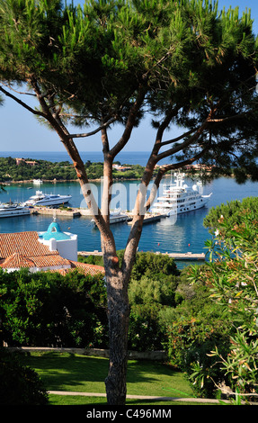 Vista attraverso gli alberi di un grande yacht a motore a Porto Cervo marina, Costa Smeralda, Sardegna, Italia Foto Stock