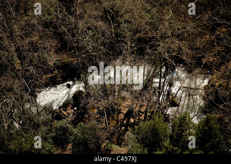 Fotografia aerea del fiume Banias nel nord del Golan Foto Stock