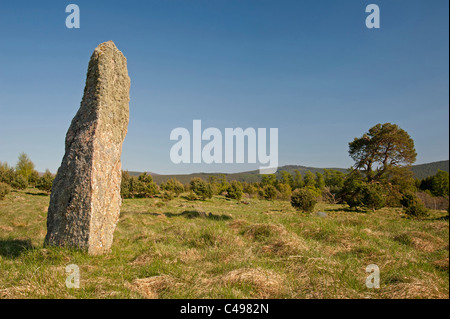 Il centro permanente di una Pietra di tre del Tom Nan Carragh gruppo vicino a Grantown on Spey, murene. La Scozia. SCO 7114 Foto Stock