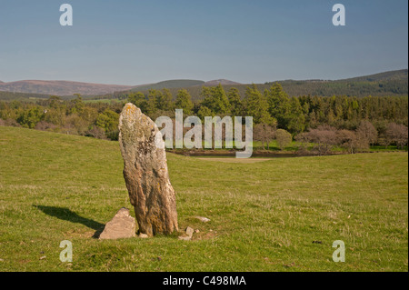 Il West pietra permanente di uno dei tre del Tom Nan Carragh gruppo vicino a Grantown on Spey, murene. La Scozia. SCO 7110 Foto Stock