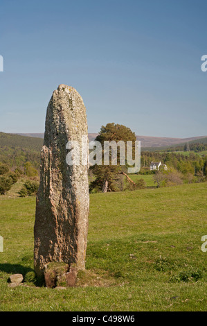 Il Neolitico medio pietra permanente di uno dei tre a Ballintomb Farm, Dulnain Bridge, Strathspey, murene, Scozia. SCO 7118 Foto Stock