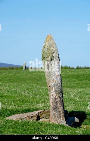 Il West pietra permanente di uno dei tre del Tom Nan Carragh gruppo vicino a Grantown on Spey, murene. La Scozia. SCO 7112 Foto Stock