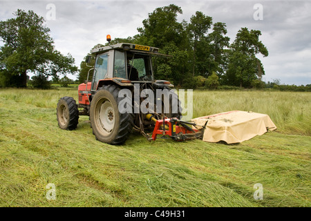 7.6.2011 fieno di falciatura Foto Stock