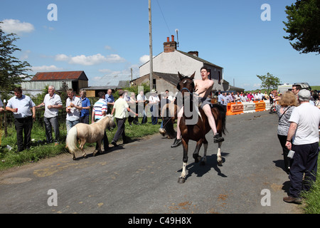 Appleby Horse Fair, Appleby-In-Westmorland, Cumbria, England, Regno Unito Foto Stock