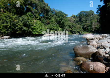 Fiume ahimè in Ketambe, Gunung Leuser National Park, Nord Sumatra, Indonesia Foto Stock