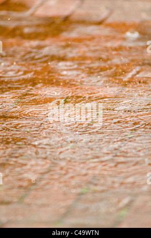 Caduta di pioggia scende tempesta tempeste pozzanghere splash splishing pioggia pesante acqua freschi ripple increspature pozza pozzanghere copertura giorno umido Foto Stock