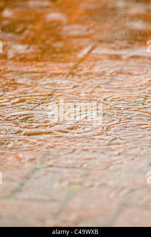 Caduta di pioggia scende tempesta tempeste pozzanghere splash splishing pioggia pesante acqua freschi ripple increspature pozza pozzanghere copertura giorno umido Foto Stock