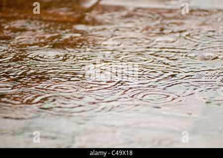 Caduta di pioggia scende tempesta tempeste pozzanghere splash splishing pioggia pesante acqua freschi ripple increspature pozza pozzanghere copertura giorno umido Foto Stock