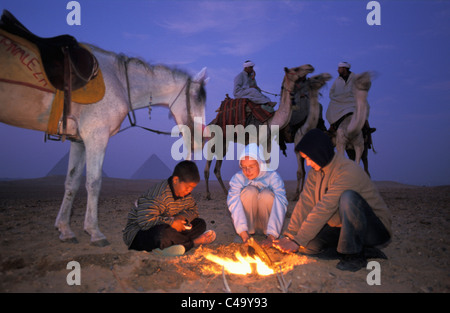 L'Egitto. Giza, vicino a Il Cairo. Piramidi. I driver del cammello e turisti a fuoco Foto Stock