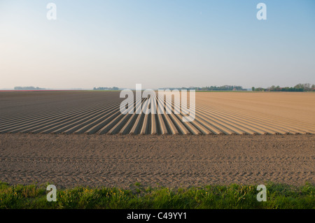 Campo Arato con dritto solchi nei Paesi Bassi Foto Stock