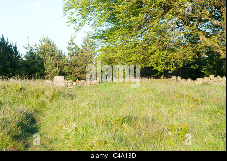 Muro di pietra dividendo i campi. Foto Stock