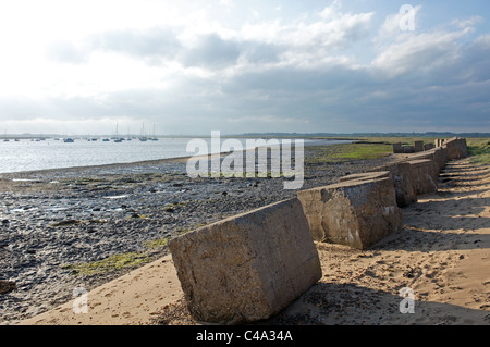 I blocchi di calcestruzzo accanto al fiume Deben per fermare l'invasione nazista durante il WW2, Bawdsey traghetto, Suffolk. Foto Stock