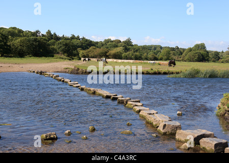 Ogmore Castle, Ogmore dal mare, Vale of Glamorgan, South Wales, Regno Unito Foto Stock