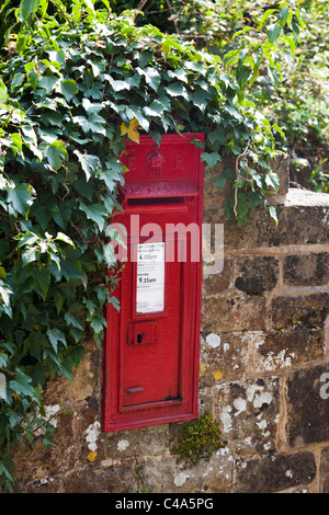 Royal mail casella postale sul vecchio muro circondato da edera Foto Stock