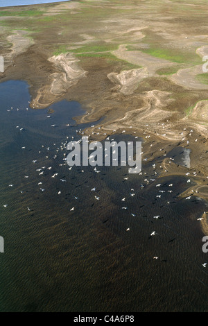 Fotografia aerea del Mare di Galilea Foto Stock