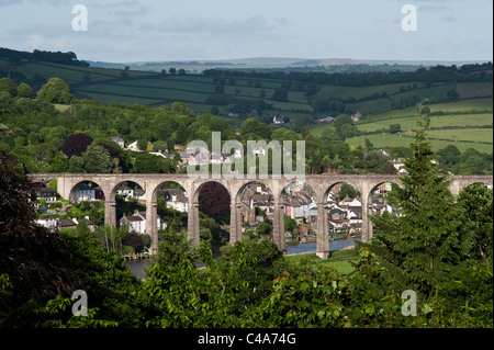 Il Viadotto di Calstock, Cornovaglia, Regno Unito, che trasporta la linea della valle del Tamar sopra il fiume Tamar fra Plymouth e Gunnislake. È stato completato nel 1908 Foto Stock