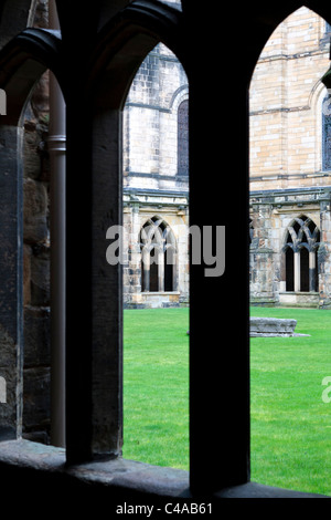 Vista del chiostro presso la Cattedrale di Durham in Inghilterra, Regno Unito Foto Stock