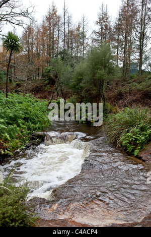Kerosene creek hot springs in Nuova Zelanda Isola del nord Foto Stock