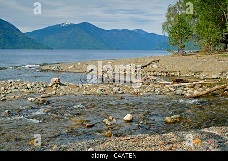 Lago Teletskoye e il torrente Chichelgan. Altai. La Siberia. La Russia Foto Stock