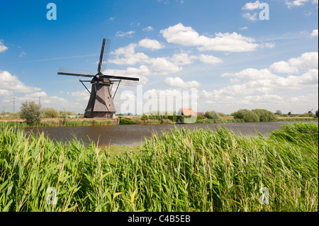 Paesaggio di mulino a vento a Kinderdijk vicino a Rotterdam Paesi Bassi Foto Stock