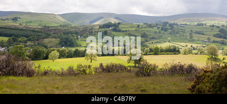 Ampio panorama della valle Lowther Lake District Cumbria mostra distante fells, mosaico di campi, linee a parete e alberi, Inghilterra Foto Stock