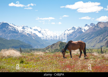 Fitz Roy massiccio, Parque Nacional Los Glaciares, Patagonia, Argentina Foto Stock