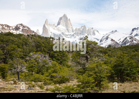 Fitz Roy massiccio, Parque Nacional Los Glaciares, Patagonia, Argentina Foto Stock