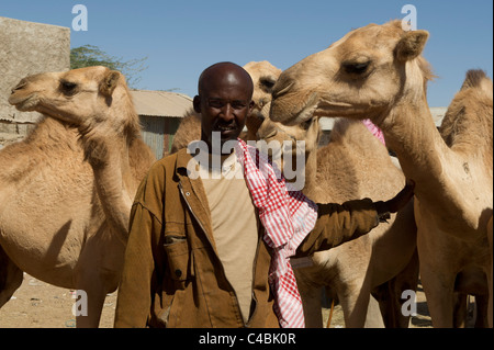 Il cammello e il mercato di capra, Hargeisa, il Somaliland e la Somalia Foto Stock