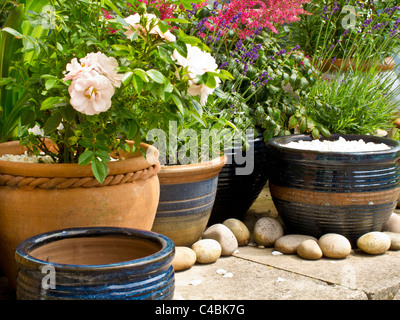 Pentole e contenitori in un angolo di un patio con rose, lavanda e astilbe Foto Stock