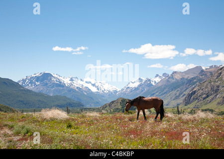 Fitz Roy massiccio, Parque Nacional Los Glaciares, Patagonia, Argentina Foto Stock