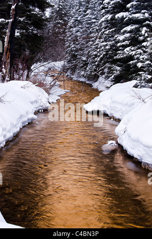 Trail Creek scorre tra coperte di neve banche sulla doppia freccia ranch vicino a Homestead in cabina Seeley Lake, Montana. Foto Stock