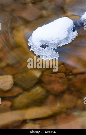 Trail Creek scorre tra coperte di neve banche sulla doppia freccia ranch vicino a Homestead in cabina Seeley Lake, Montana. Foto Stock