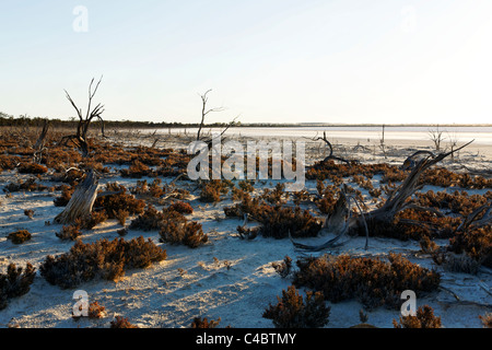 cancellato Foto Stock
