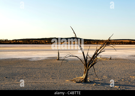 cancellato Foto Stock