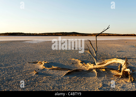cancellato Foto Stock