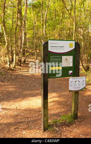 Westleton Heath Riserva Naturale Nazionale segno a Westleton , Suffolk , Inghilterra , Inghilterra , Regno Unito Foto Stock