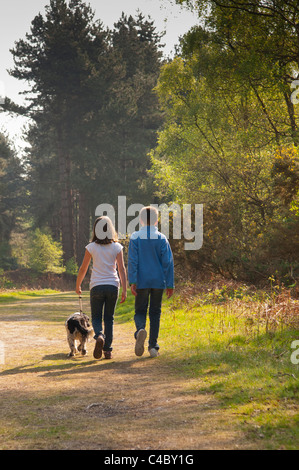 A nove anni e ragazza ragazzo di undici anni passeggiate con il cane nei Boschi a Westleton Heath , Suffolk , Inghilterra , Inghilterra , Regno Unito Foto Stock