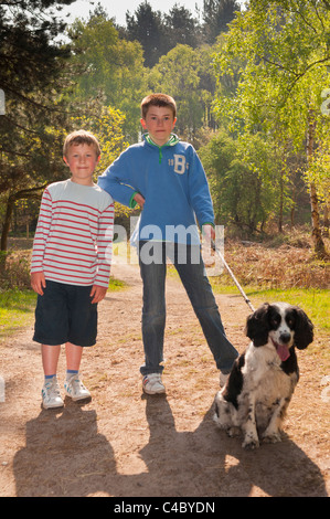 Due ragazzi ( fratelli ) 11 e 7 passeggiate con il cane nei Boschi a Westleton Heath , Suffolk , Inghilterra , Inghilterra , Regno Unito Foto Stock
