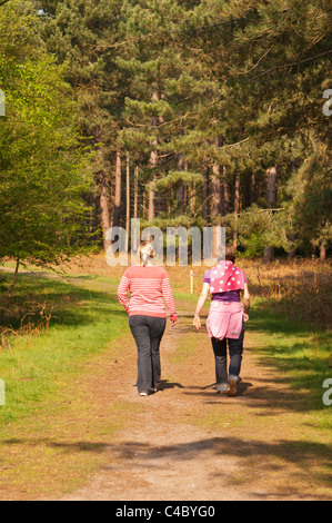 Due donne nei loro anni trenta a piedi nei boschi a Westleton Heath , Suffolk , Inghilterra , Inghilterra , Regno Unito Foto Stock