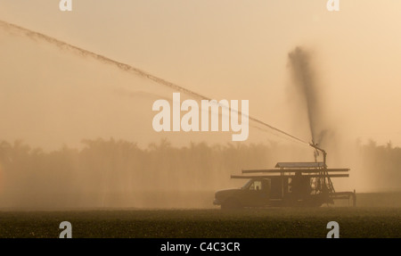 Canon di acqua utilizzato per l'irrigazione delle colture Foto Stock