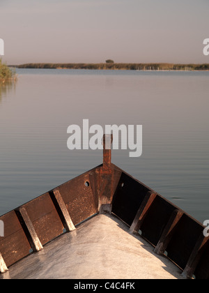 Ritratto verticale della barca in una palude. La Albufera, Spagna. Foto Stock
