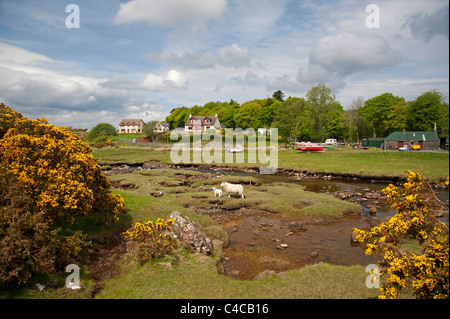 Il villaggio di Dervaig sulla costa occidentale scozzese della isola di Mull. SCO 7160 Foto Stock